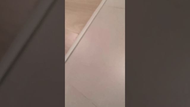 Обзор однокомнатной квартиры от застройщика Пик!