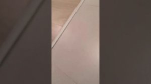 Обзор однокомнатной квартиры от застройщика Пик!