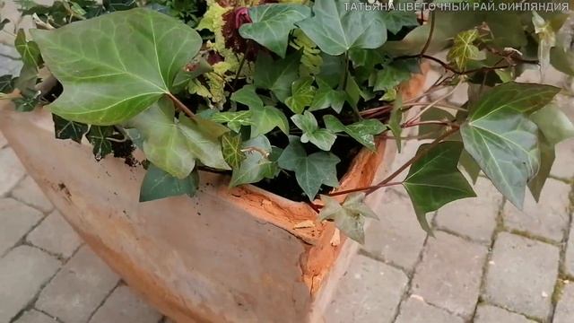 ТАТЬЯНА.  SUOMALAINEN PUUTARHA. ЦВЕТОЧНЫЙ РАЙ В ФИНЛЯНДИИ. КАК ФИННЫ УКРАШАЮТ СВОЙ ДВОР