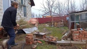 Заказ Черенков Пирамидального Тополя без Пуха.Мужская особь.)