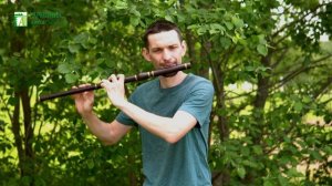 Ирландская поперечная флейта в Ре из палисандра - Гармония Звука