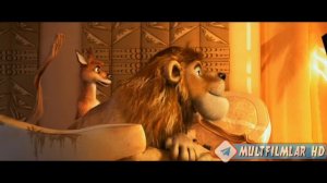 Hayvonlar ittifoqi       Multifelim