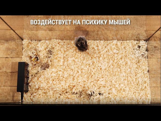 Ультразвуковые отпугиватели грызунов, крыс и мышей, которые работают! Модели 2021!