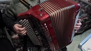 Красивый импортный баян из Италии, видео.