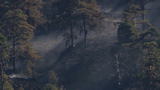 Ecology смотреть онлайн