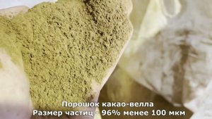 Помол какао-велла на мельнице "МИКРОКСИЛЕМА-МОДУЛЬ"