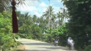 Дорога от Стоун Тауна до Нунгви, отель Kigwedeni Villas