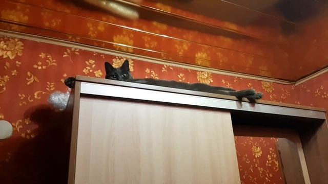 Новая мебель в прихожую, палас или как я потратила премию. смотреть онлайн