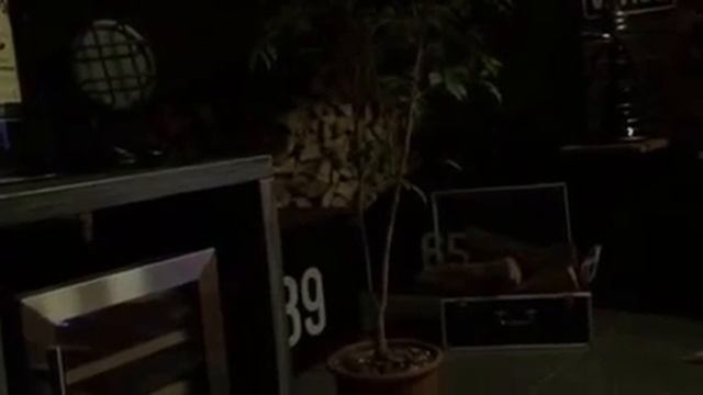 Лабрадор у печки смотреть онлайн