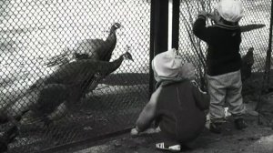 Советское прошлое. Первый зоопарк в Белоруссии