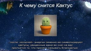 «Кактус к чему снится во сне? Если видишь во сне Кактус, что значит?»