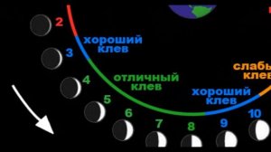 5 СЕКРЕТОВ,ЩУКА В НОЯБРЕ,щука в ноябре с берега,щука осенью на спиннинг ,жор щуки осенью,ЩУКА зимой