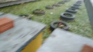 Как зимовать в Деревянном Улье с Сетчатым Дном!!!