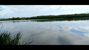 Удачная рыбалка. Спасск- Дальний.