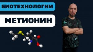 Что такое метионин? Душкин объяснит