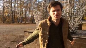 Николай Гумилёв стихотворение  «слоненок»