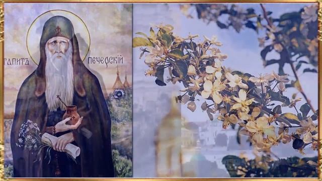 14 июня - память прп. Агапита целебника