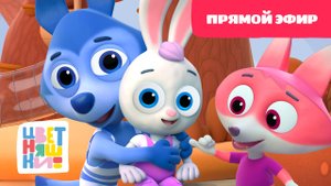 ?Цветняшки - День с любимыми героями - Прямой Эфир - Колыбельные для детей?