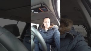 Как и чем правильно кормить собаку бивера или йорка