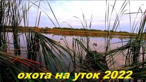 ТЯЖЁЛАЯ ОХОТА НА УТОК НА ВОЛГЕ!!! Охота на уток 2022!!!РОЗЫГРЫШ ФОНАРЯ ARMYTEK