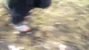 Краткий обзор Spyridon MR FiveFingers Vibram