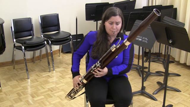 Vivaldi Bassoon Concerto E Minor Movement 3 смотреть онлайн