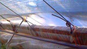 Цветоводство. Тепличный цветочный домашний бизнес.