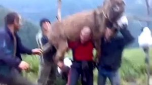 ДАГЕСТАНСКИЙ СИЛАЧ