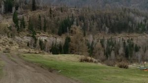 Проезд к Чибитской поляне. Алтай