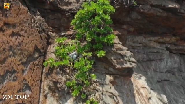 Andrey Kravtsov - Love Disconnection