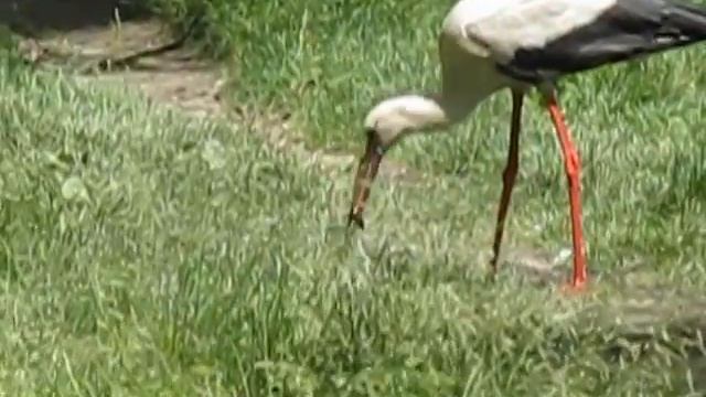 ЗНАМЕНИЕ НА КРЕЩЕНИЕ смотреть онлайн