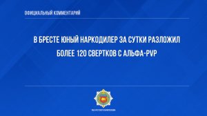 В Бресте юный наркодилер за сутки разложил более 120 свертков с альфа-PVP