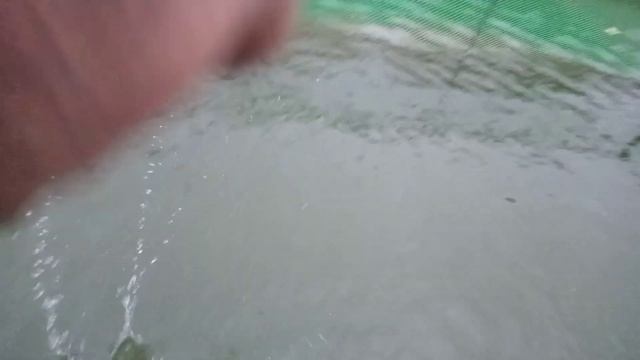 Доставка осетровых пород рыб в частное домовладение!