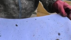 ПОВТОРНАЯ ОБРАБОТКА ПЧЕЛИНЫХ СЕМЕЙ