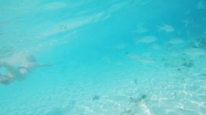Maldives / Fihalhohi. Мальдивы. Фихалхохи. 13 сентября 2021 г.