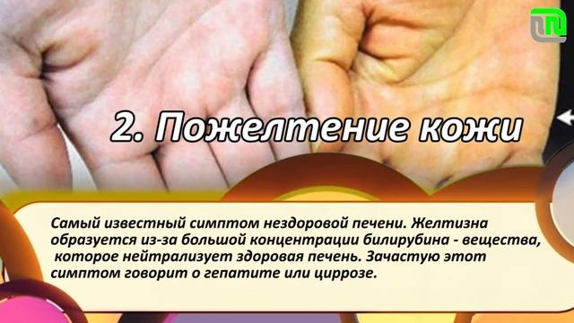 Медики назвали четыре признака больной печени