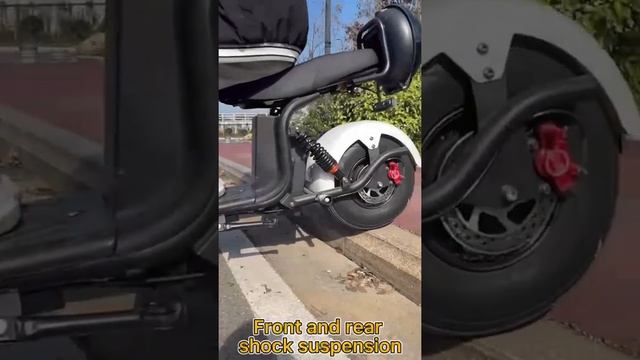 Electric scooter X20 shock absorption test??