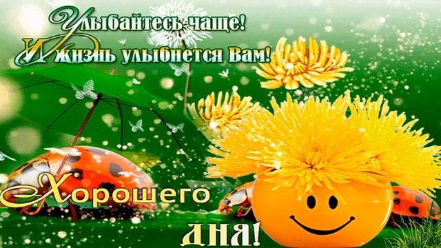 Желаю хорошего дня! смотреть онлайн
