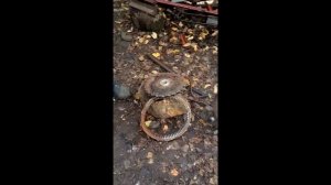 Дробилка зерна своими руками (дертевалка)