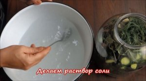 Рецепт малосольных огурцов быстрого приготовления хрустящих в 3 литровой банке