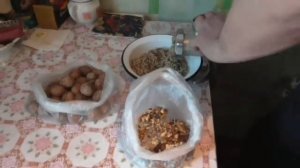 Питательная смесь для мужчин. Полезные свойства смеси из орехов с мёдом.