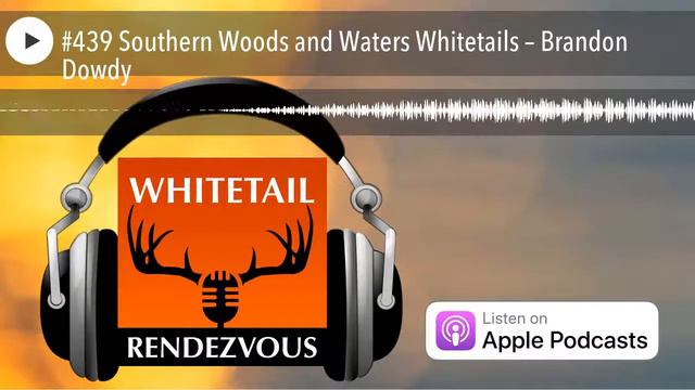 #439 Southern Woods and Waters Whitetails – Brandon Dowdy смотреть онлайн