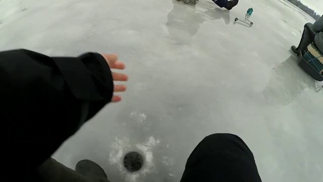 Плотва по последнему льду на Рыбинском водохранилище. Ловля плотвы на безмотылку и мотыля.Жор плотв смотреть онлайн