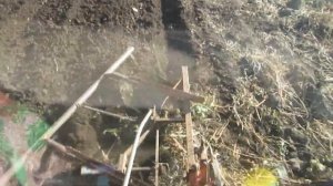 ОСЕННЯЯ  ВСПАШКА ОГОРОДА ТРАКТОРОМ Т25 .   18 10 2019 ГОД