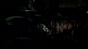 Женатый холостяк 1982