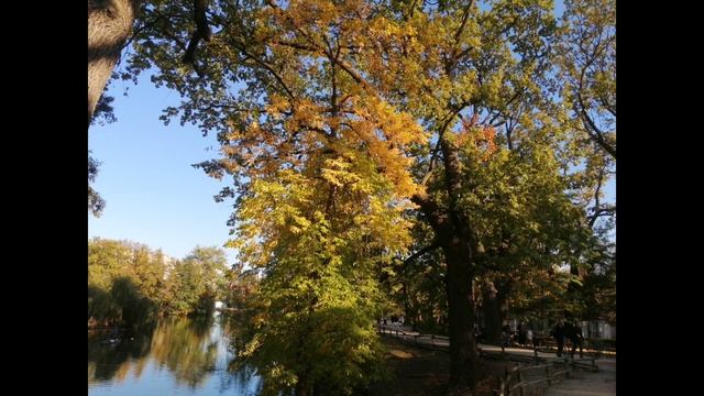 lv_0_20230929234941.mp4 смотреть онлайн