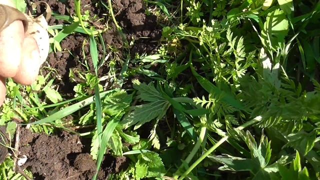 Коп.Шурфанул и покопал. смотреть онлайн