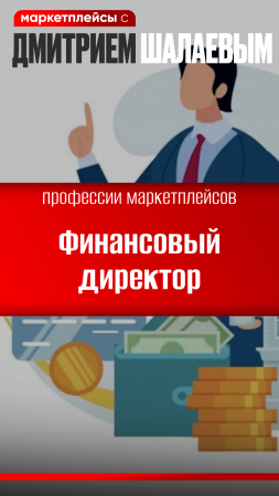 Финансовый директор: профессия на Озоне, Валберис и др. маркетплейсах. Обучение Шалаева шевченко