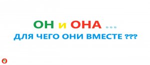 Он и Она, для чего они вместе??? Видео 529.