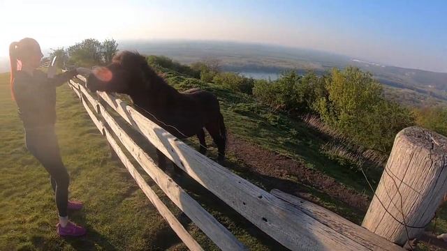 Hainburg An Der Donau смотреть онлайн